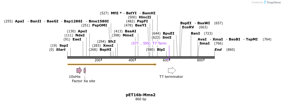 24762_map