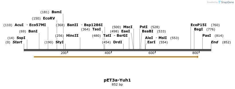 24764_map