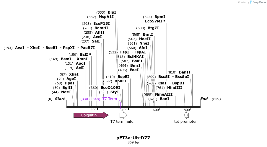24765_map