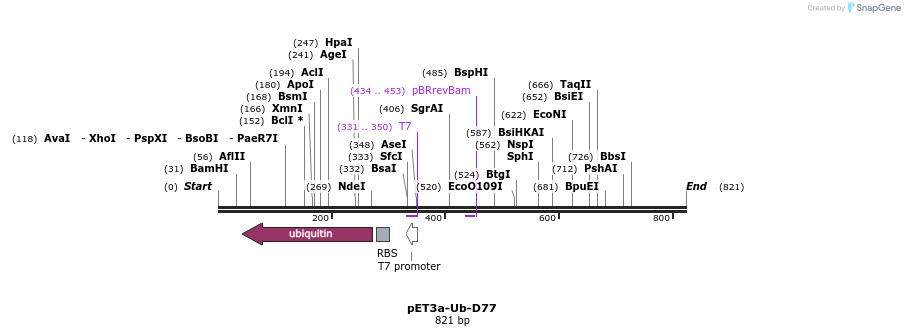 24766_map