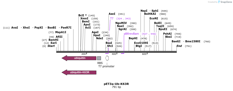 24770_map