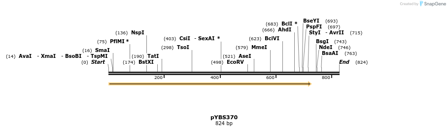 24772_map