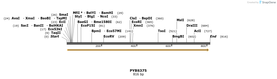 24773_map