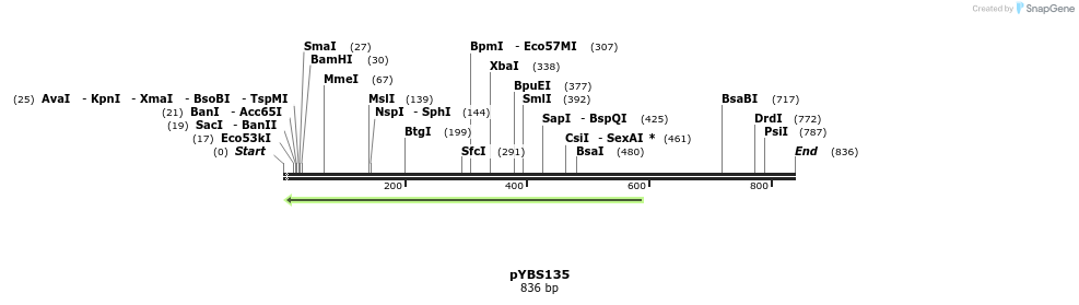 24775_map