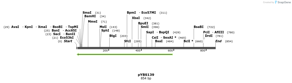 24777_map
