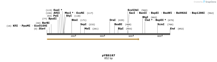 24778_map
