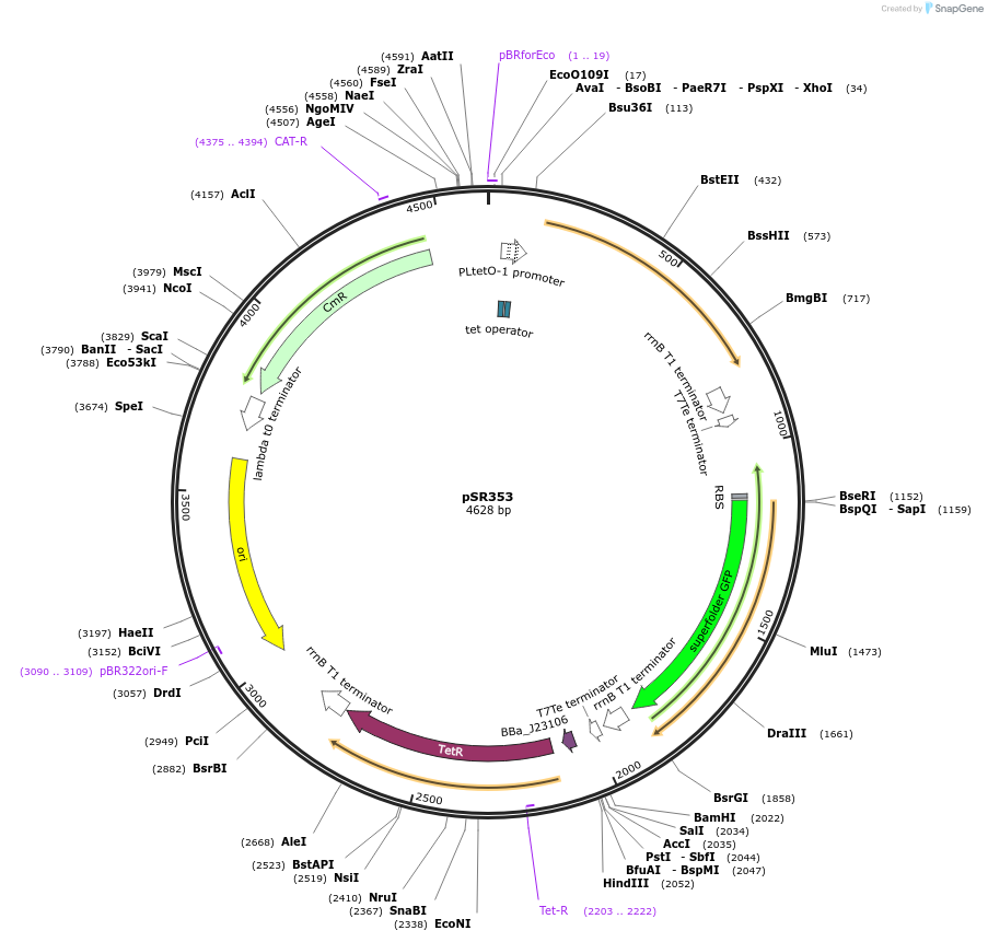 247802_map