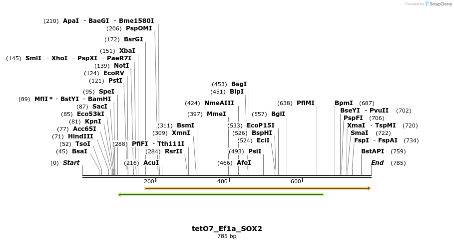 24783_map