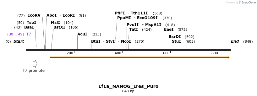 24784_map