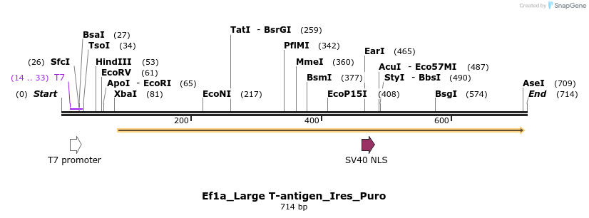 24786_map