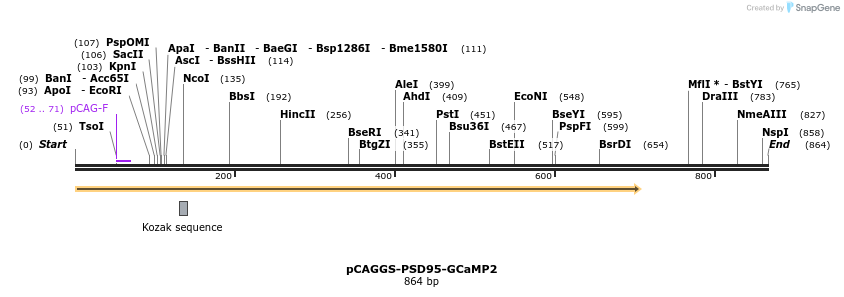 24790_map