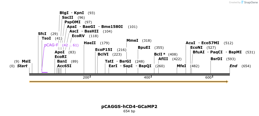 24792_map