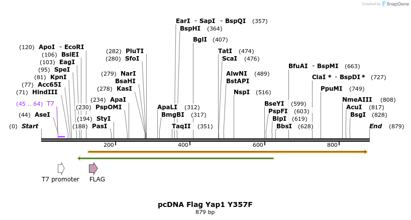 24795_map