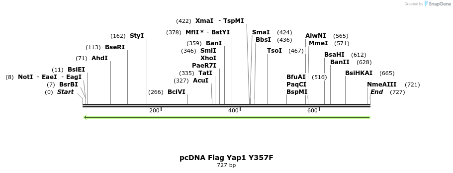 24796_map