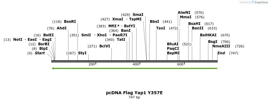 24797_map