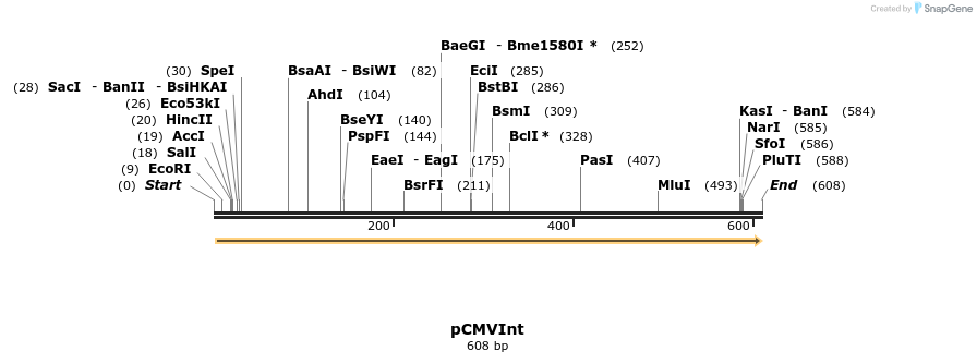 24799_map