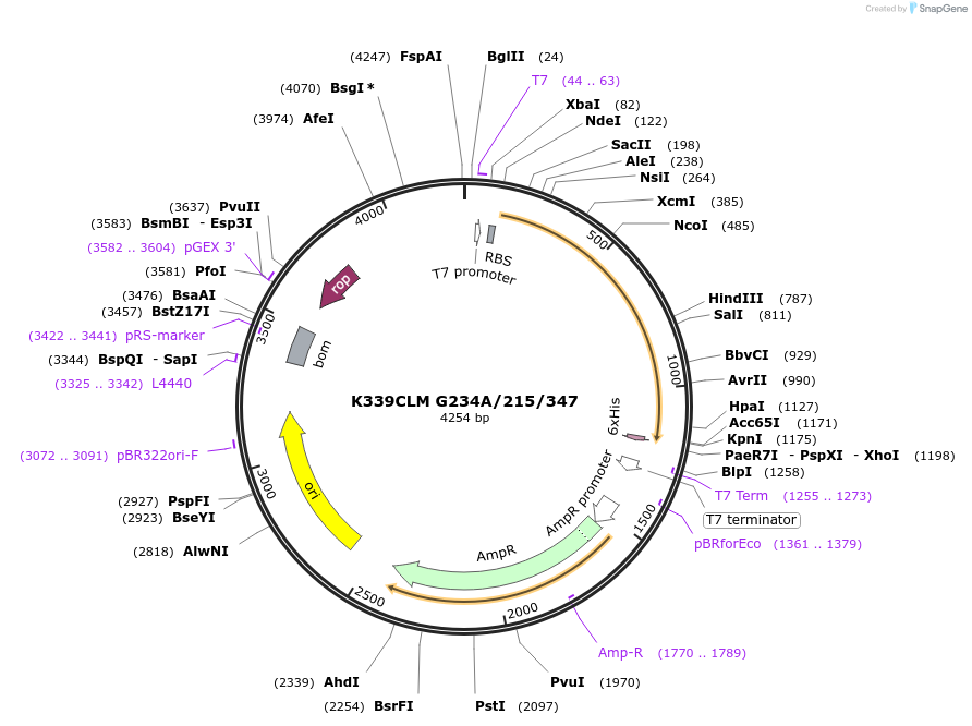 248010_map