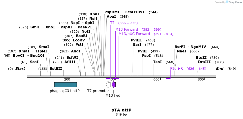 24802_map