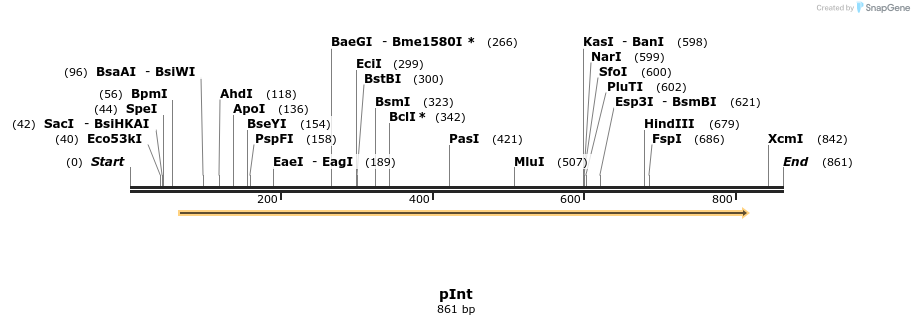 24805_map