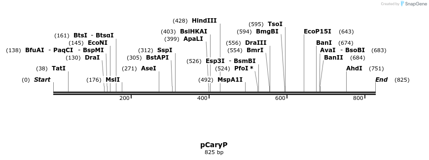 24808_map