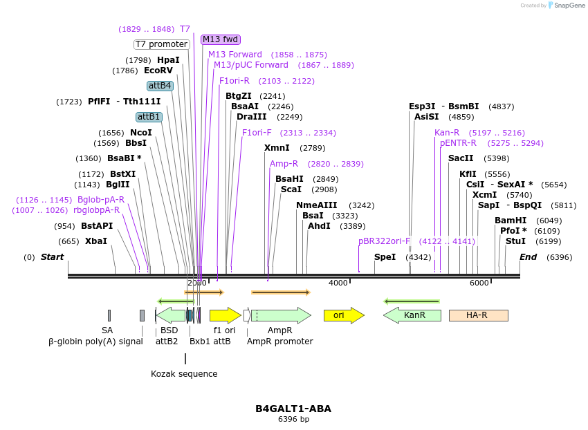 248080_map