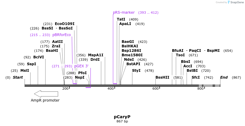 24809_map