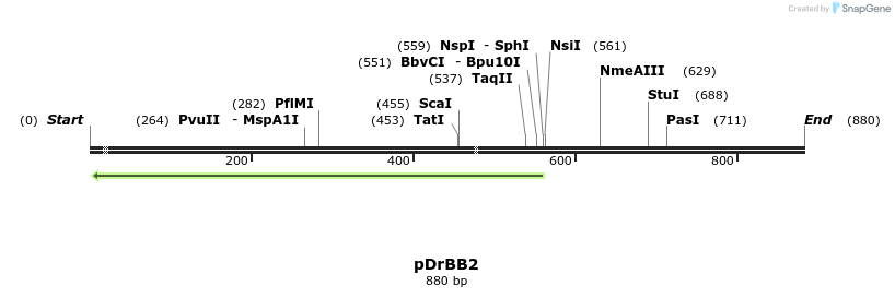 24810_map