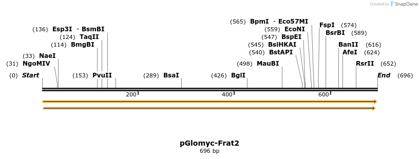 248110_map