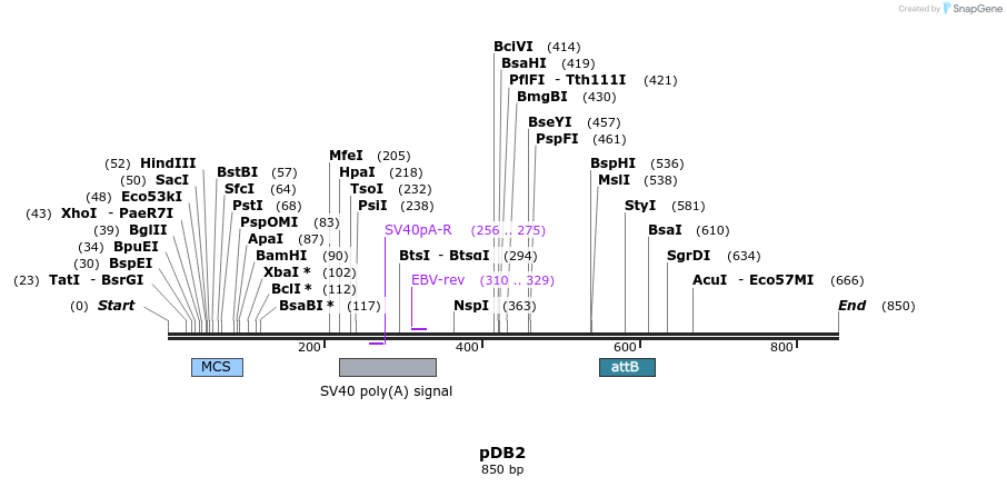 24813_map