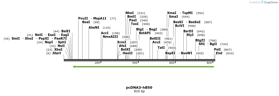 24821_map