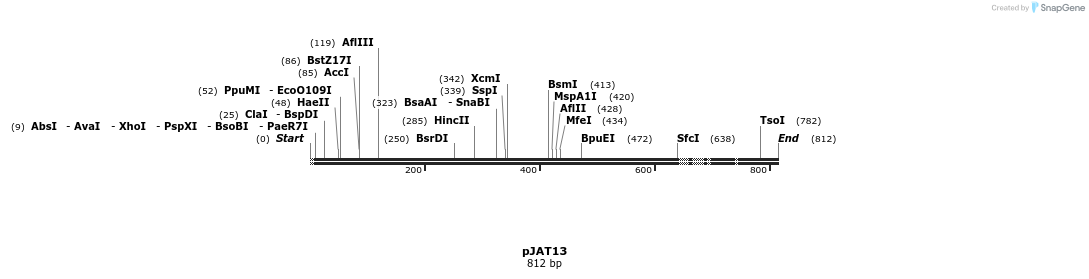 24828_map