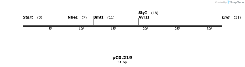 248291_map