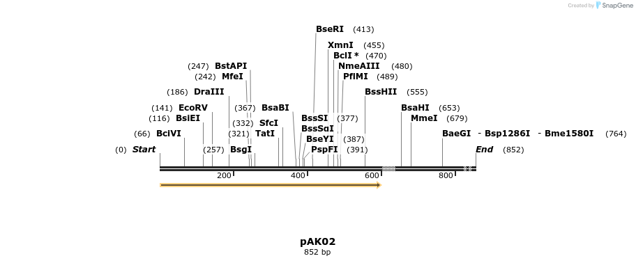24831_map