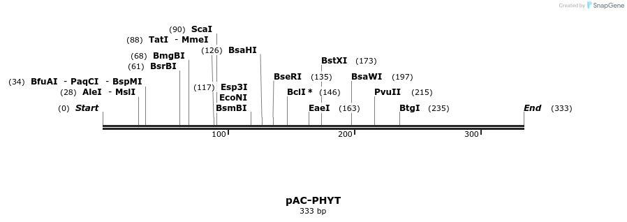 24833_map