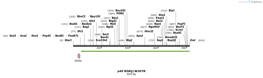 24841_map