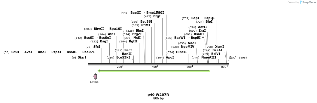 24845_map