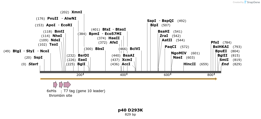 24846_map