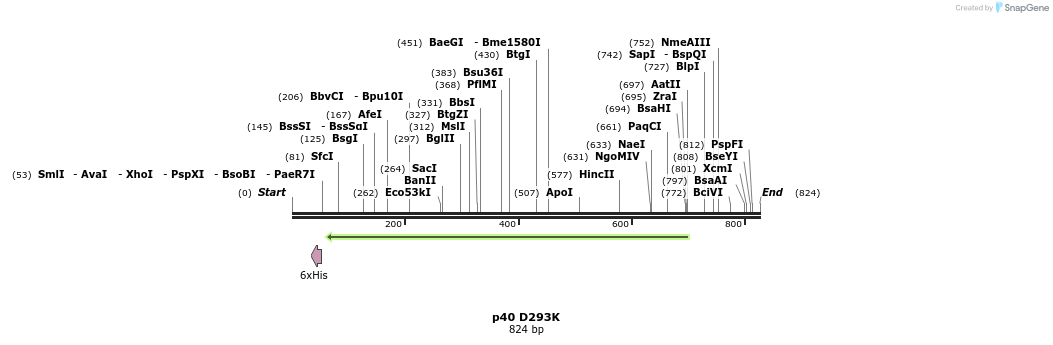 24847_map