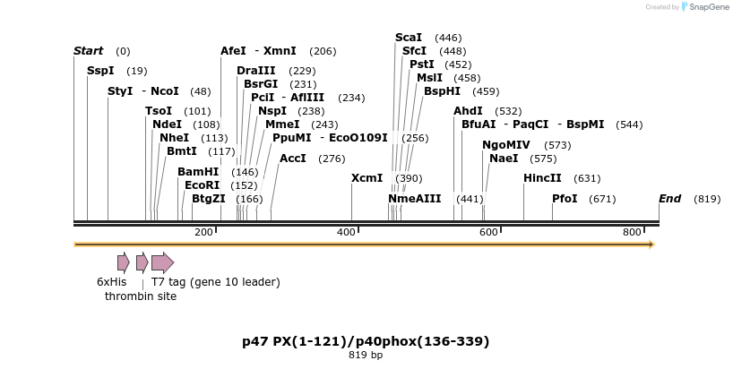 24849_map