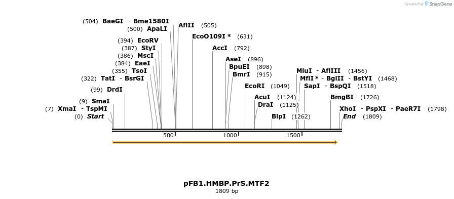 248499_map