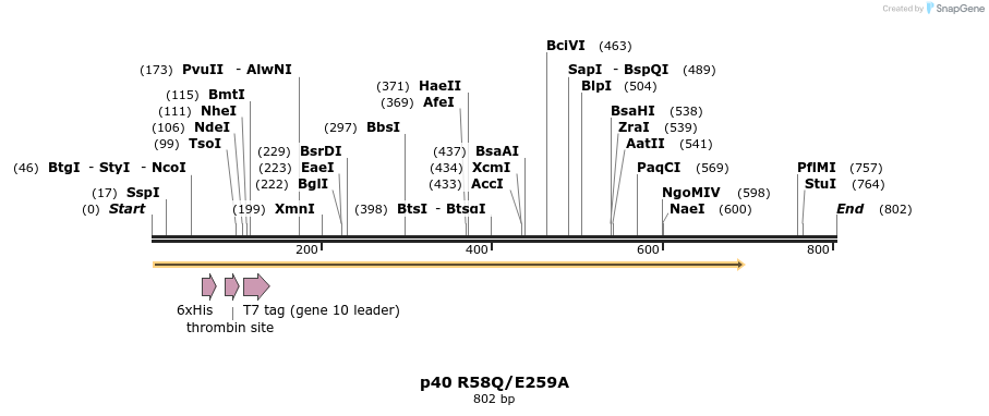 24852_map