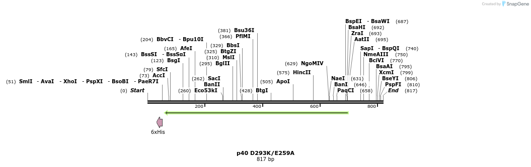 24855_map
