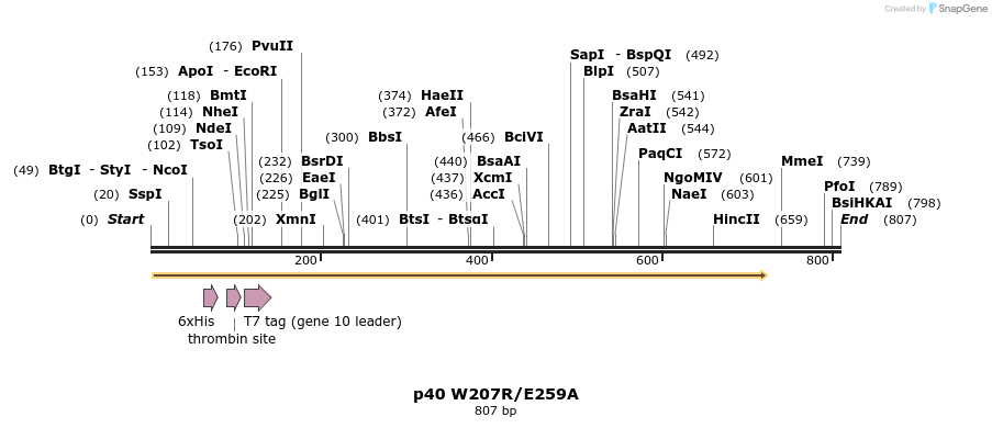 24856_map