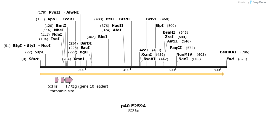 24858_map