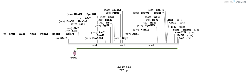 24859_map