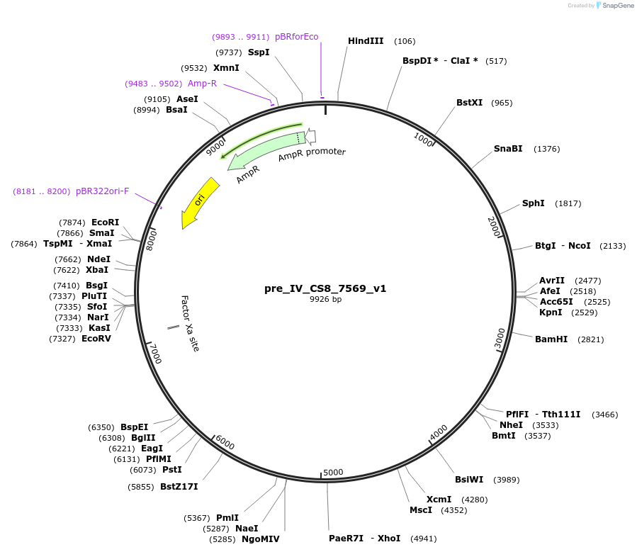 248617_map