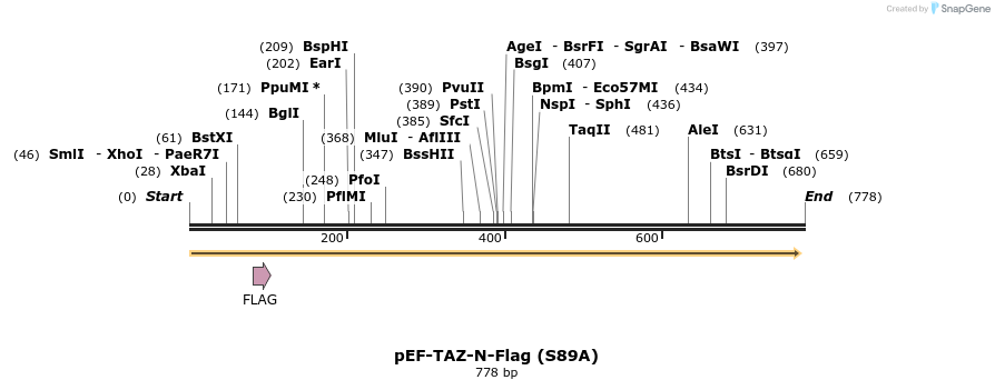 24862_map