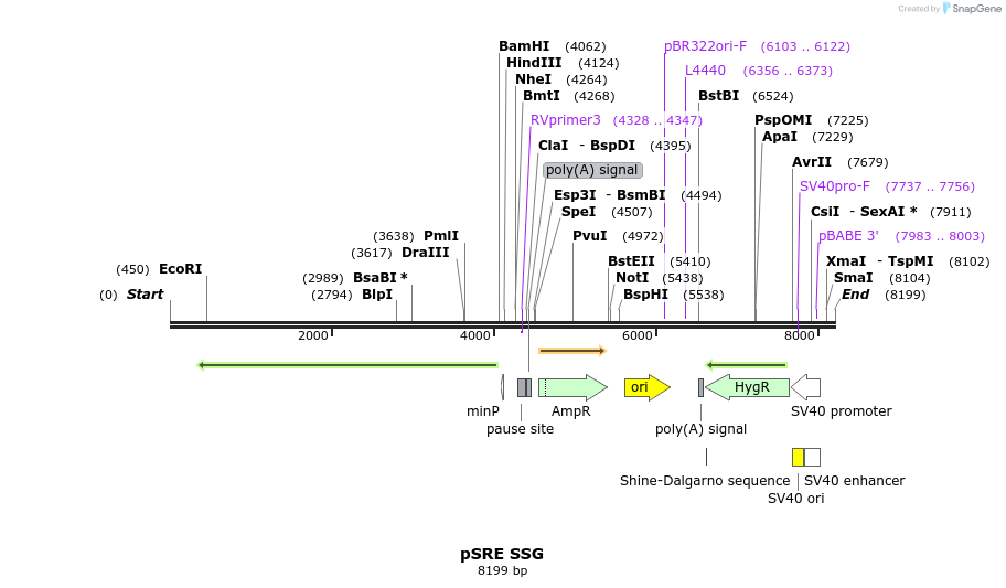 248622_map