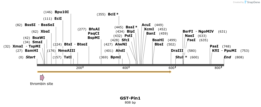 24863_map