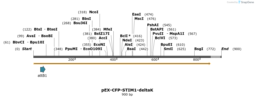 24866_map